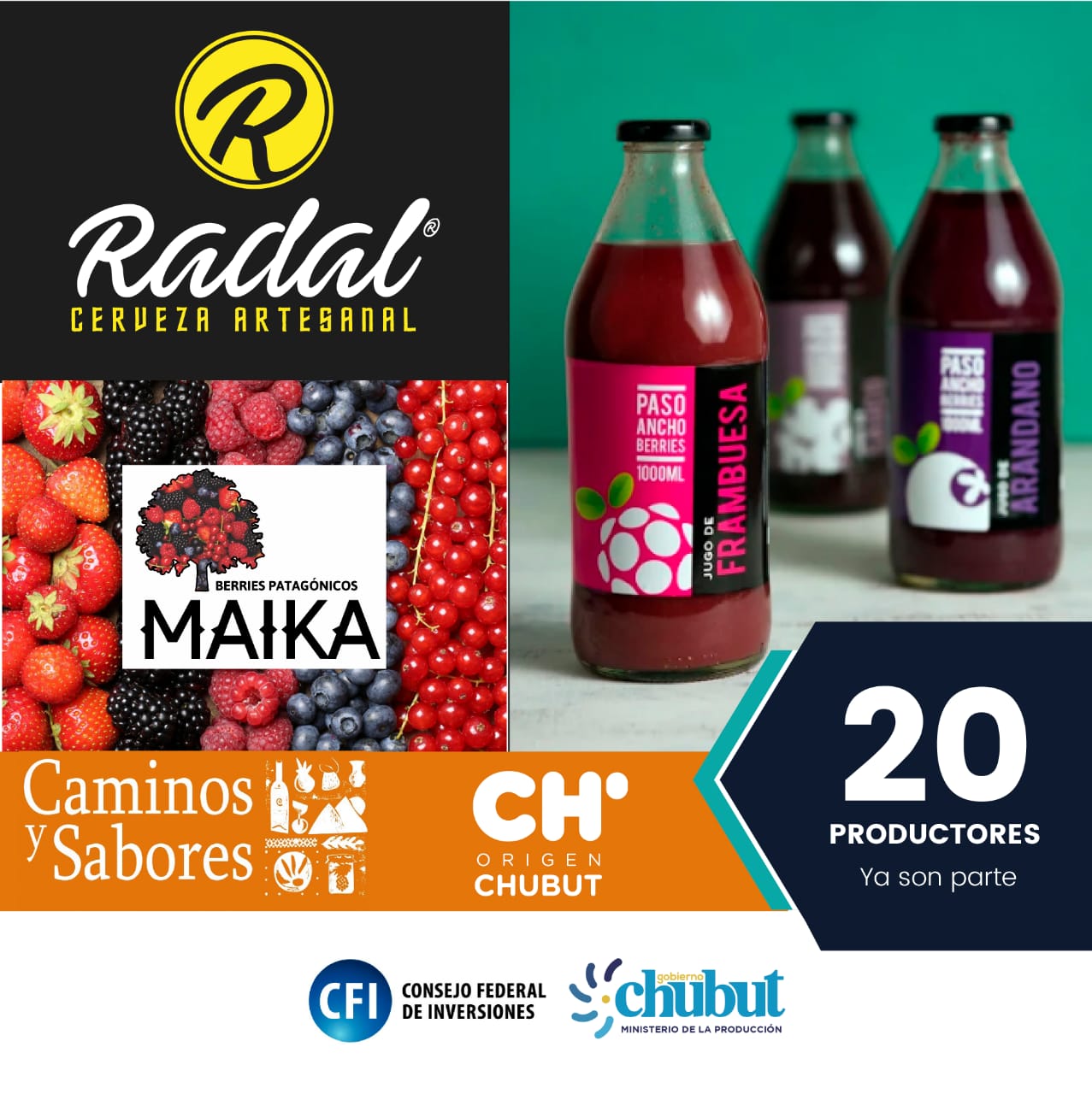 Radal en Caminos y Sabores