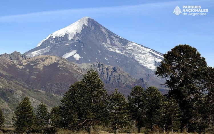 Parque Nacional Lanín