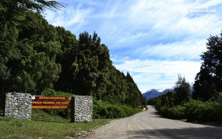 PN Los Alerces Chubut