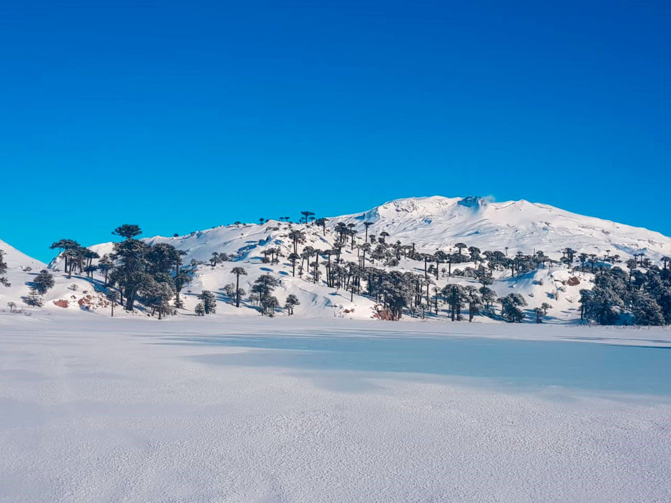 caviahue ski resort nevado