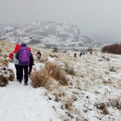 Senderos del Parque Nacional Los Glaciares en Invierno