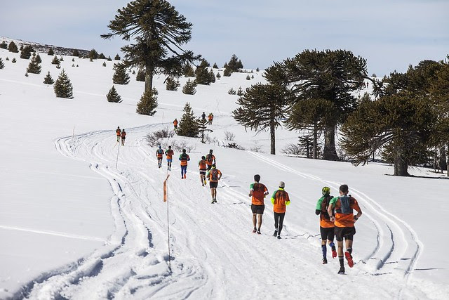 corredores en la nieve en edición anterior de k21 en Villa Pehuenia