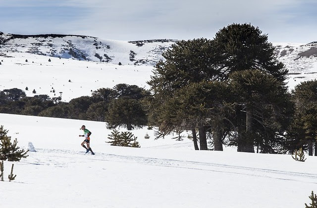 Corredor en edición anterior del k21 en Villa Pehuenia