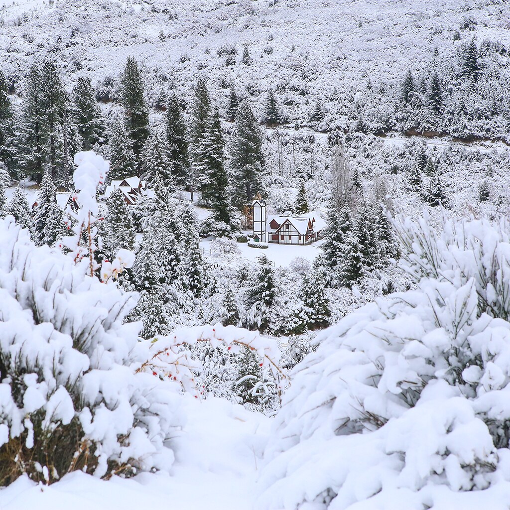 Cerro Catedral, imperdible visita en Bariloche