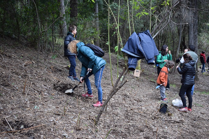 Personas de Arbolando el Mundo haciendo pozos para plantar los árboles