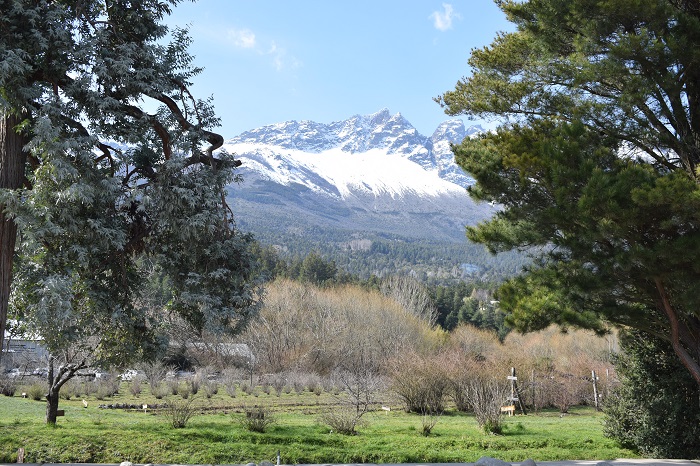 Vista panorámica desde el interior de la fábrica