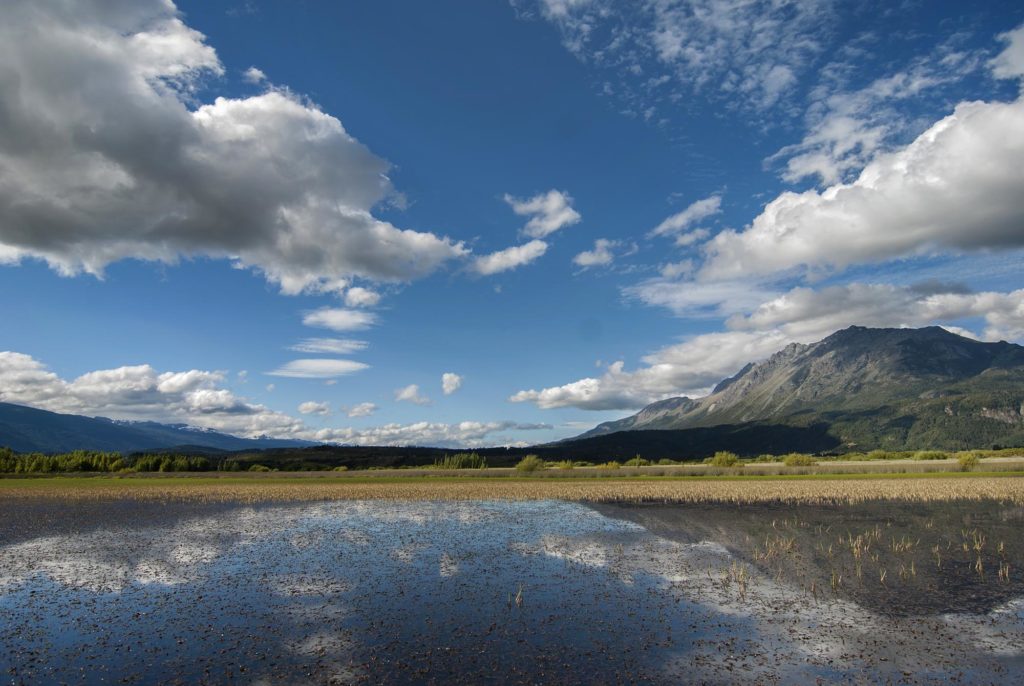 Laguna de los Buenos Pastos en El Hoyo