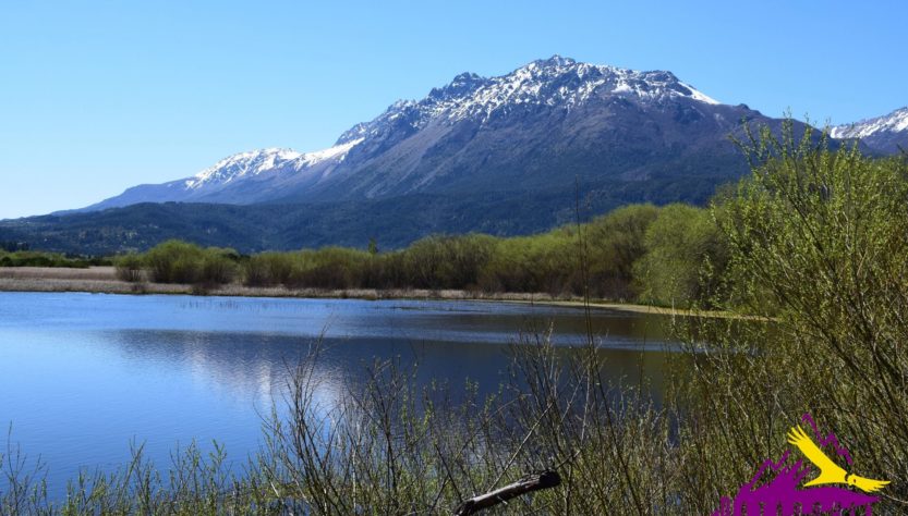 Laguna de los Buenos Pastos en El Hoyo