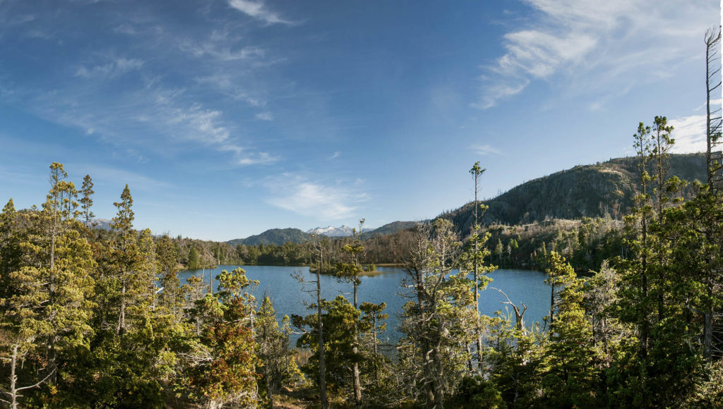 Una de las lagunas más bellas de El Hoyo, Los Alerces