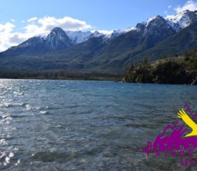 Las aguas transparentes del lago Epuyén