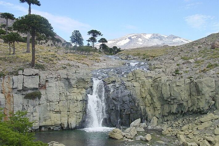 Cascada con araucarias de fondo. Una de las paradas del sendero de las cascadas en Caviahue