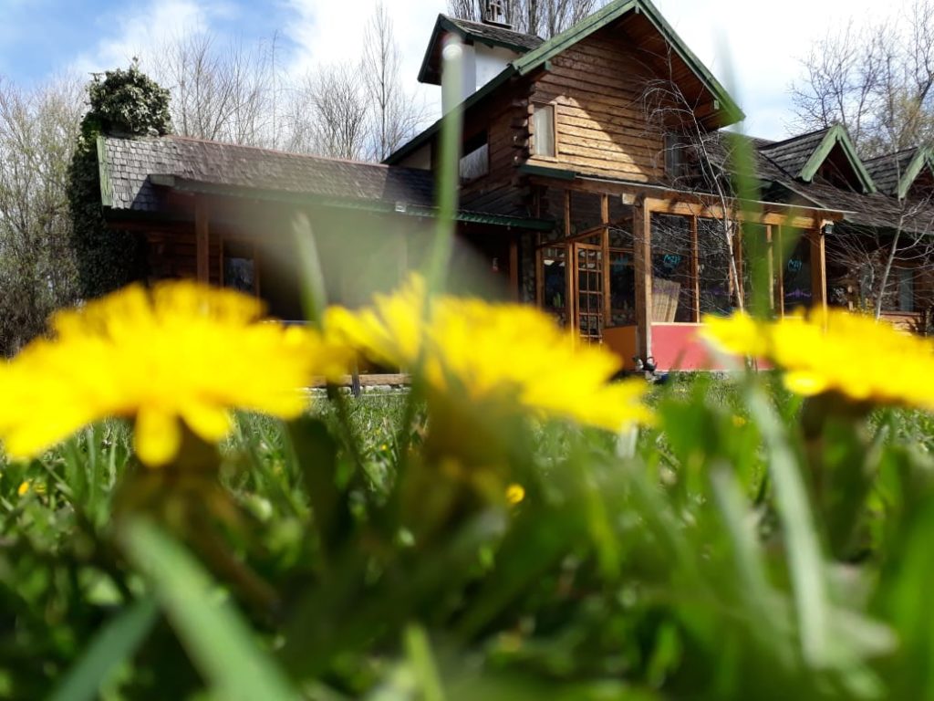 Flores delante y hostal detrás