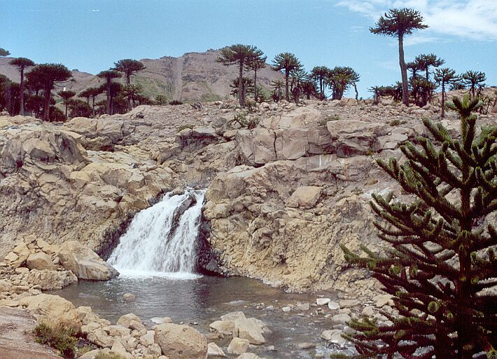 Cascada culebra, otra de las paradas obligadas del sendero de las cascadas de Caviahue.