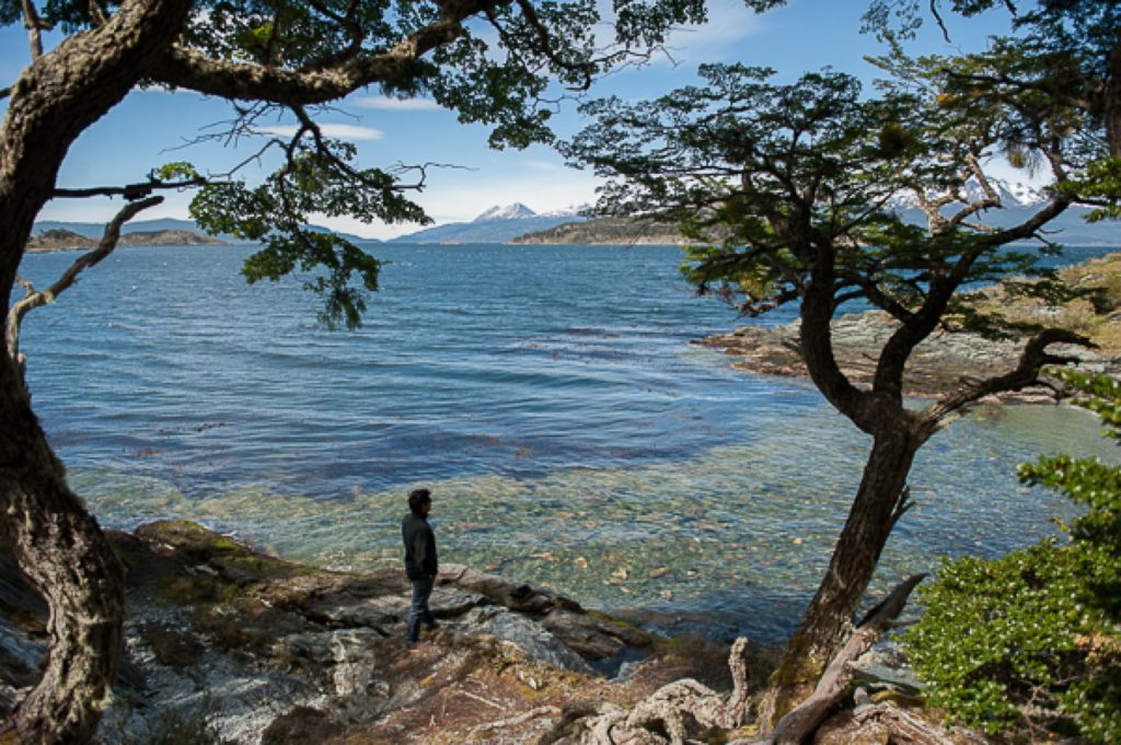 Persona contemplando el lago, rodeado de árboles en el Fin del Mundo.