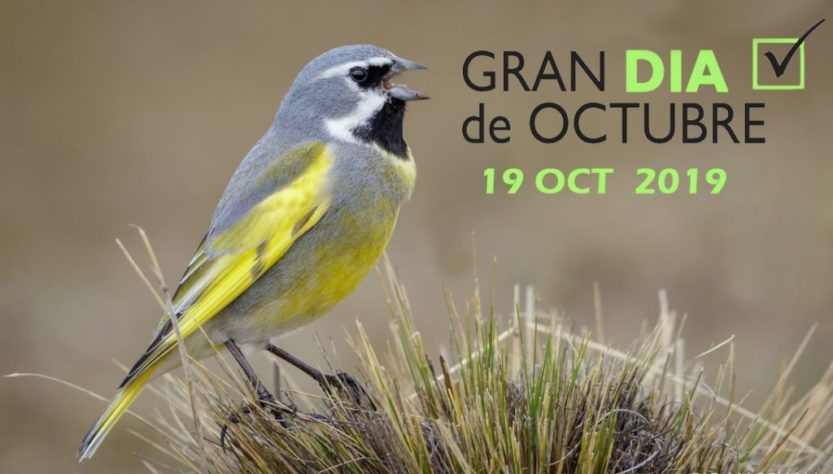 Flyer del Gran Día de Octubre