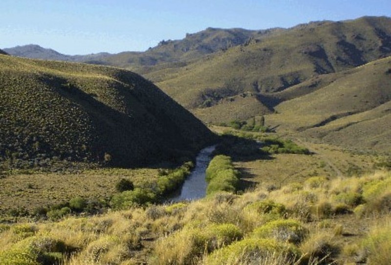 Arroyo Las Minas, serpenteando por el paisaje.