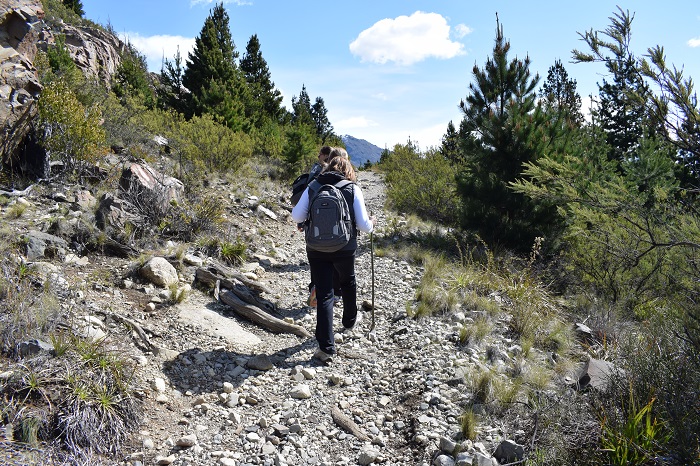 Mujer con bastón haciendo subiendo por una pendiente. Haciendo senderismo en la naturaleza.