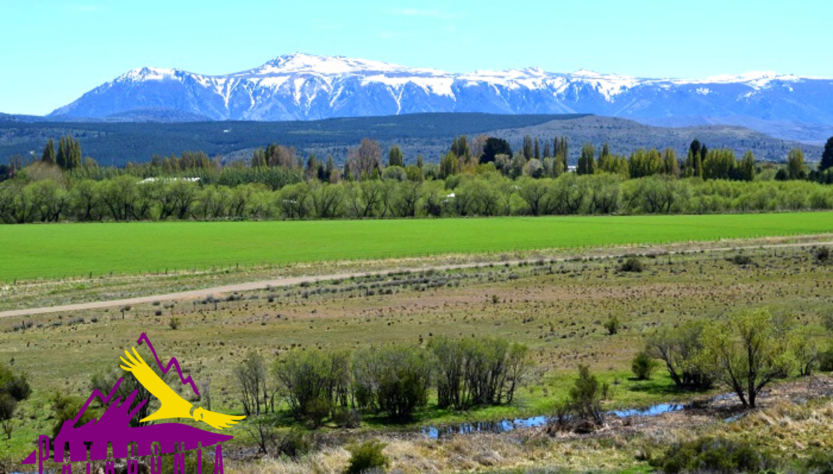 El Maitén, panorámica