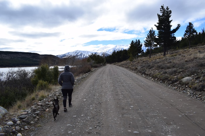 Personas caminando con un perro por un sendero en Esquel.