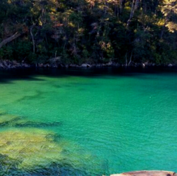 Playas de Yuco