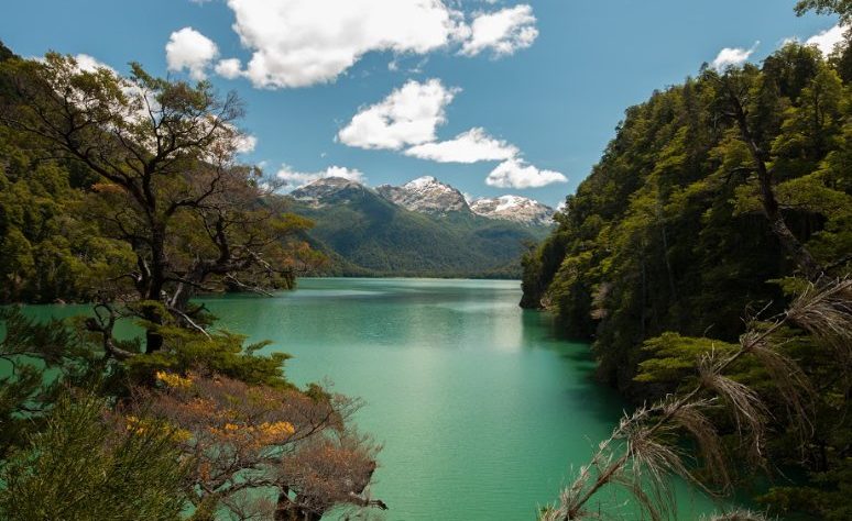 Portada Parque Nacional Los Alerces