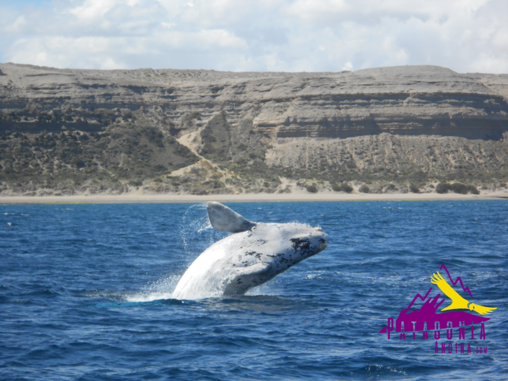 destinos Patagonia turismo