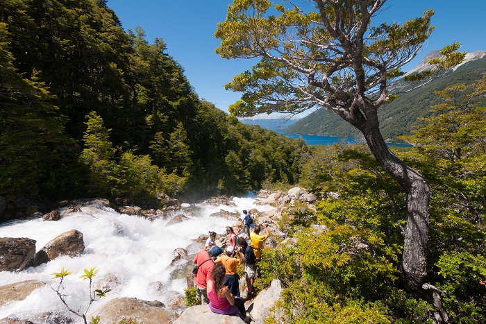 Bosque en Esquel, Patagonia Andina