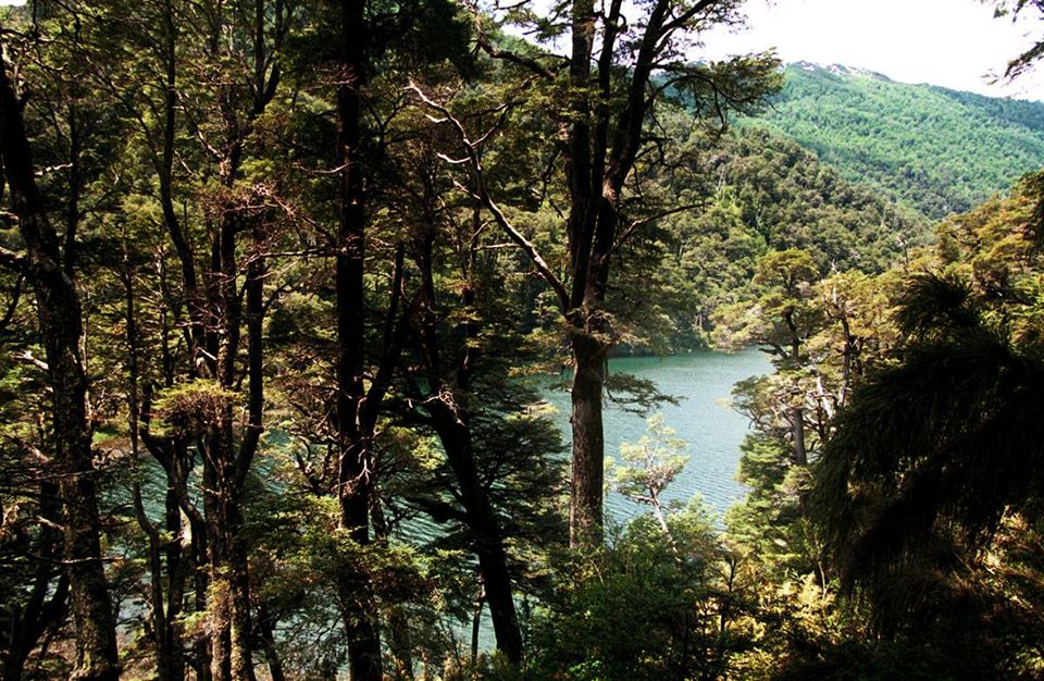 Laguna escondida en San Martín de los Andes.