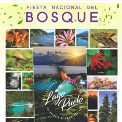 Afiche Fiesta Nacional Del Bosque 2020