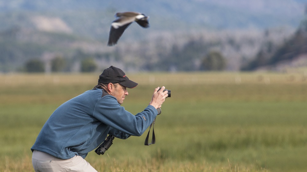 Fotógrafo en plena acción capturando aves.