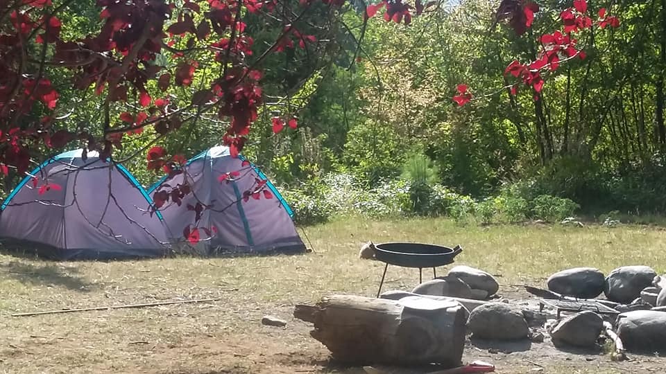 Dos carpes en el predio del camping Río Azul.