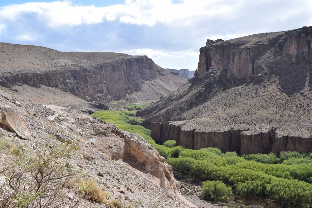 Cañadon Pinturas. Patagonia Andina.