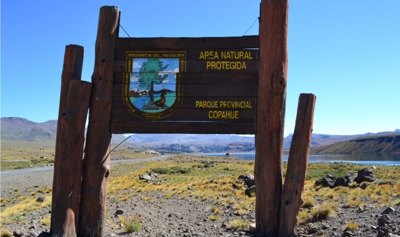 Área Natural Protegida Copahue