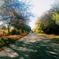 Camino de los Nogales, El Bolsón.