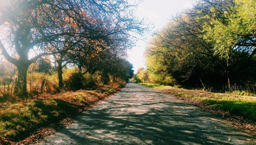 Camino de los Nogales, El Bolsón.