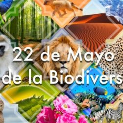 Biodiversidad