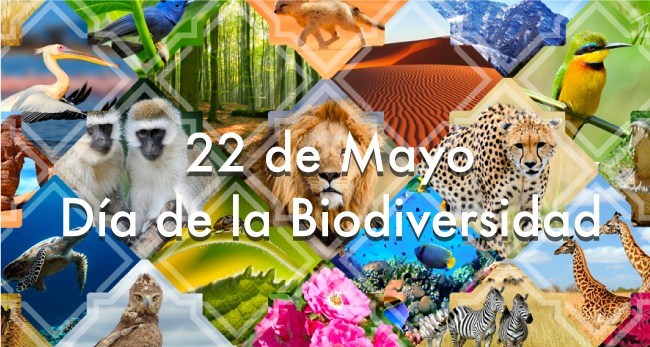 Biodiversidad