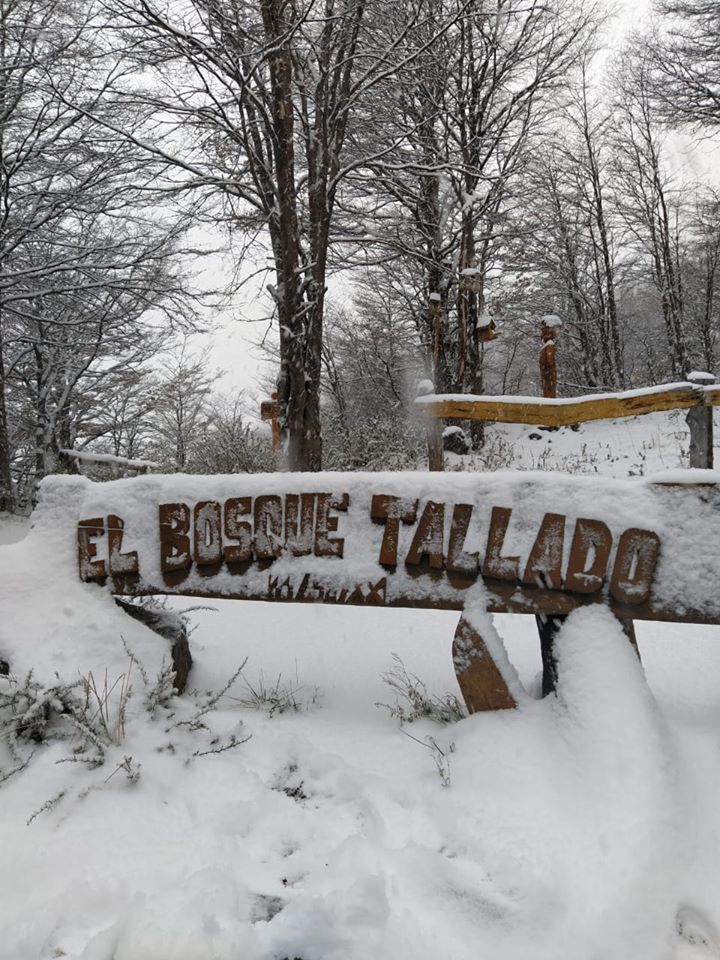 Nevadas en la Patagonia, Bosque Tallado El Bolsón.