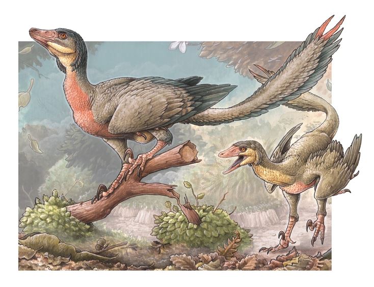 Ilustracion del Overoraptor, uno de los descubrimientos en la Patagonia.