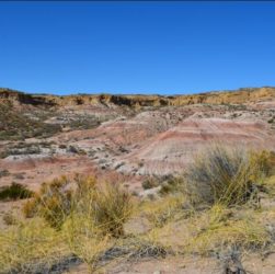 Lugar del descubrimiento del dinosaurio.