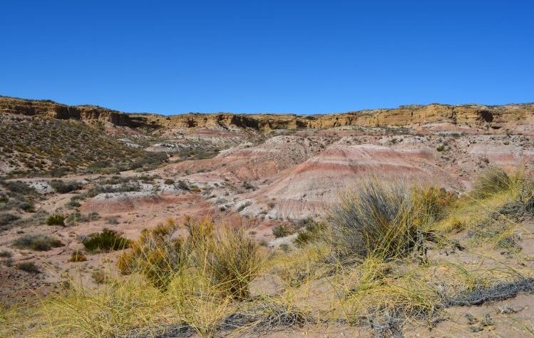 Lugar del descubrimiento del dinosaurio.