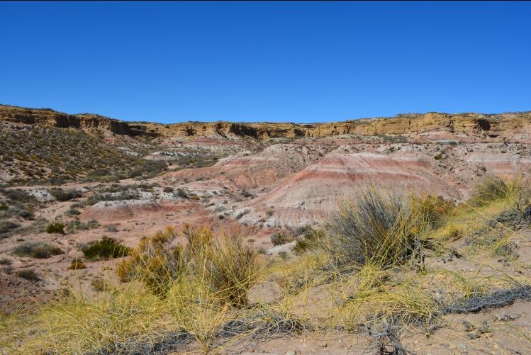 Lugar del descubrimiento del dinosaurio.