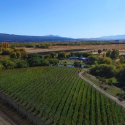 Viñas de Nant y Fall en Chubut.