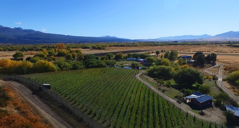 Viñas de Nant y Fall en Chubut.