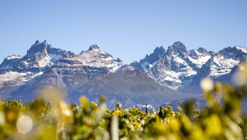 Trevelin, pinot noir, vino patagónico