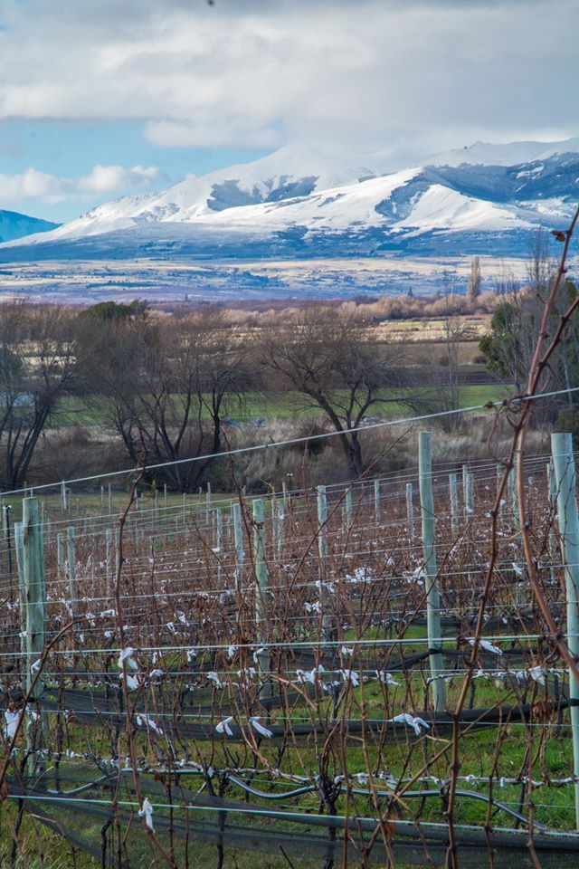 panorámica de los viñedos de Nant y Fall.