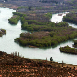 Ríos Neuquén y Limay