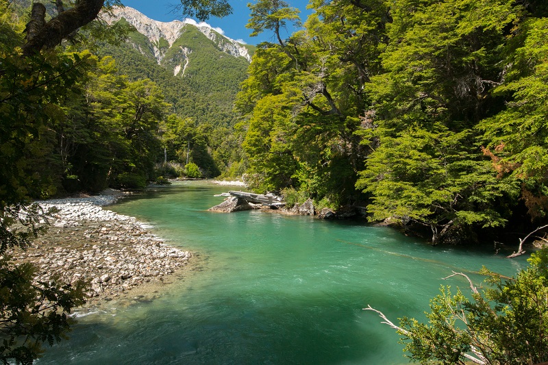 Parque Nacional Los Alerces, patrimonio de la Unesco.