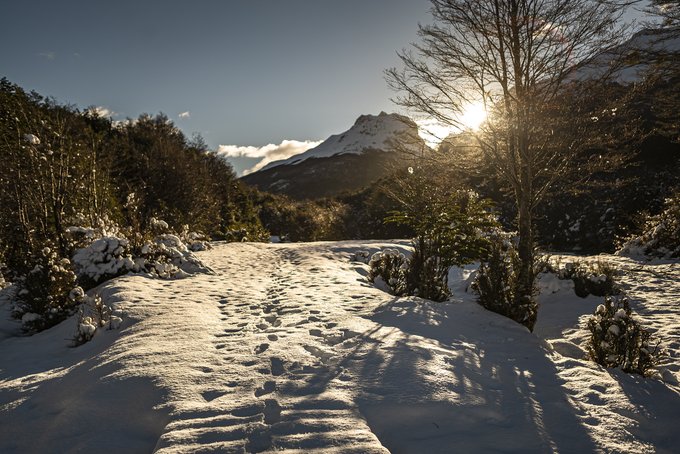 Parque Tierra del Fuego, en invierno
Tarifas en los Parques Nacionales de la Patagonia Andina