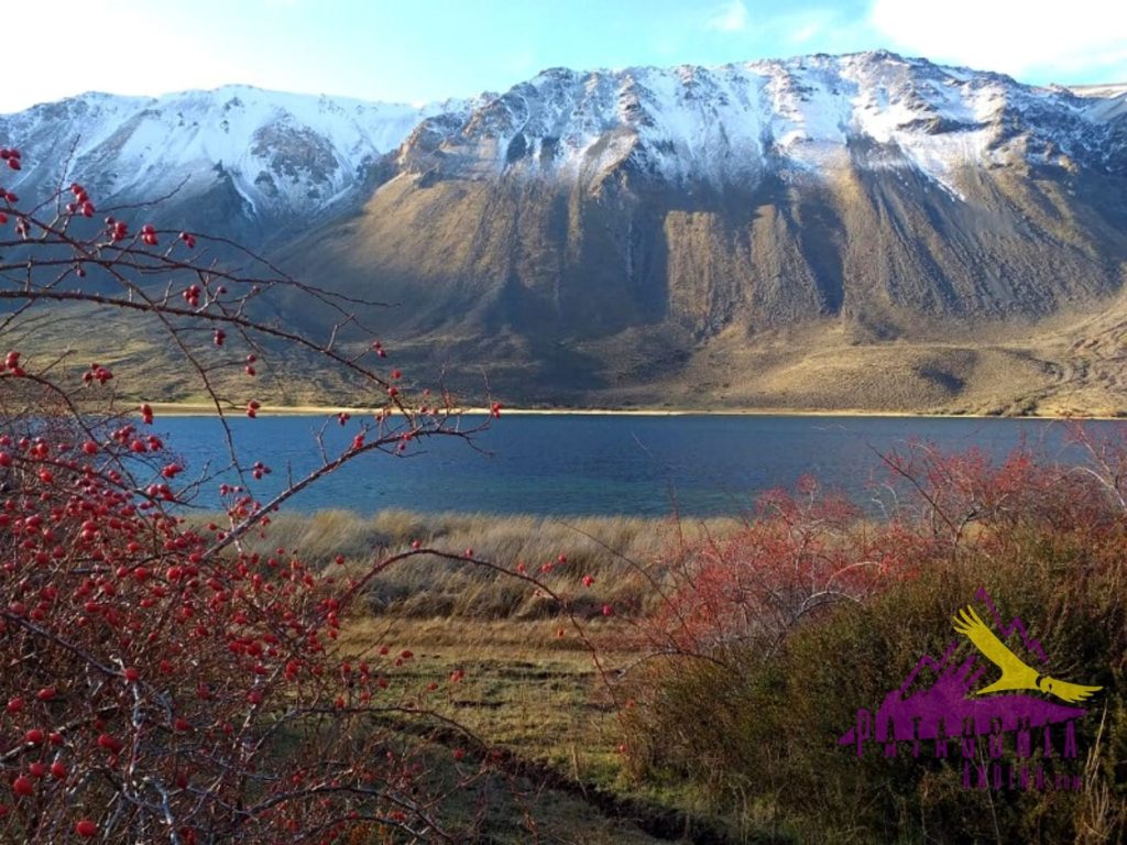 Laguna Willimanco, Esquel